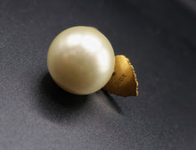 Carica l'immagine nel visualizzatore di Gallery, Dior Earrings